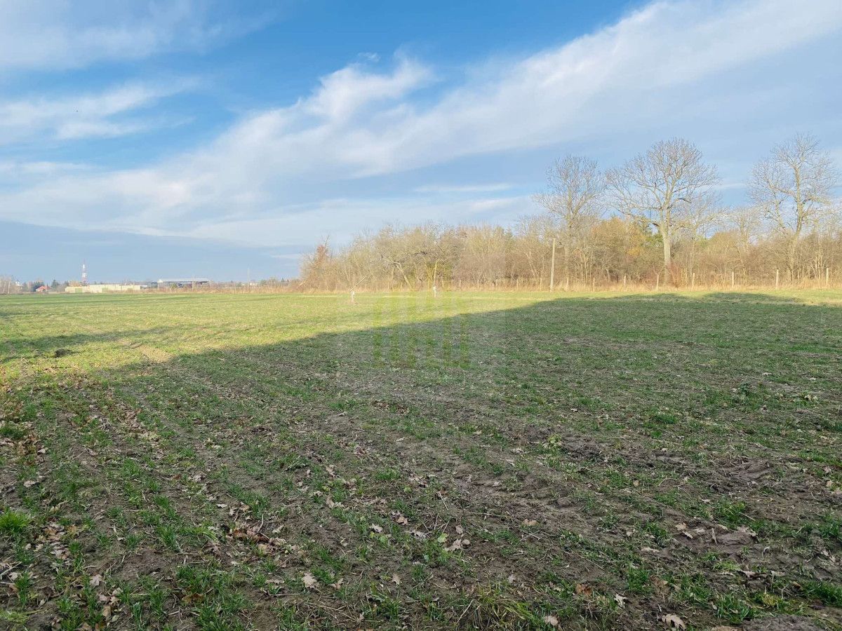 Działka budowlana Dębówka. Zdjęcie 2