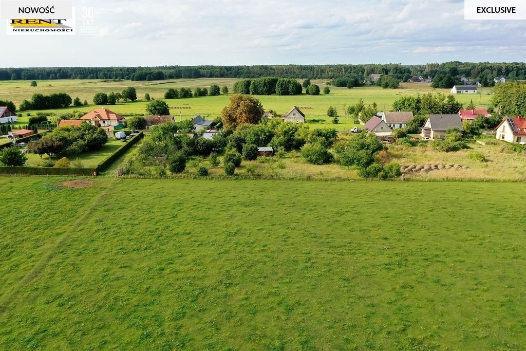 Działka rolna Cisewo. Zdjęcie 6