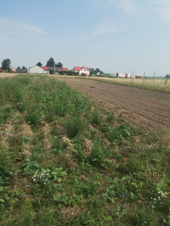 Działka budowlana Wola Miedniewska. Zdjęcie 2