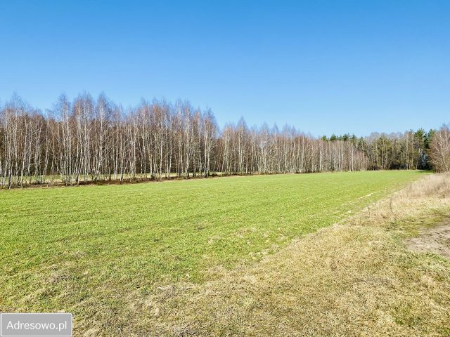 Działka rolna Zbuczyn. Zdjęcie 1