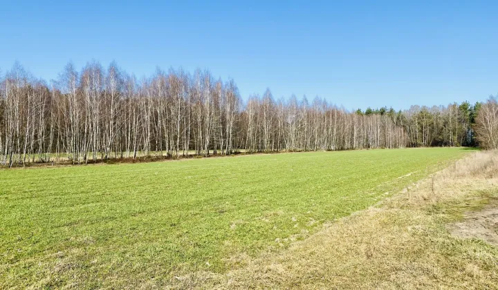 Działka rolna Zbuczyn