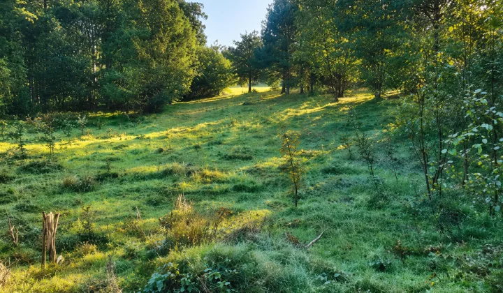 Działka inwestycyjna Stefanów