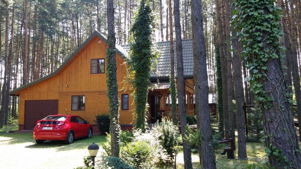 Działka leśna Kolonia Karczmy, ul. Iglasta. Zdjęcie 1