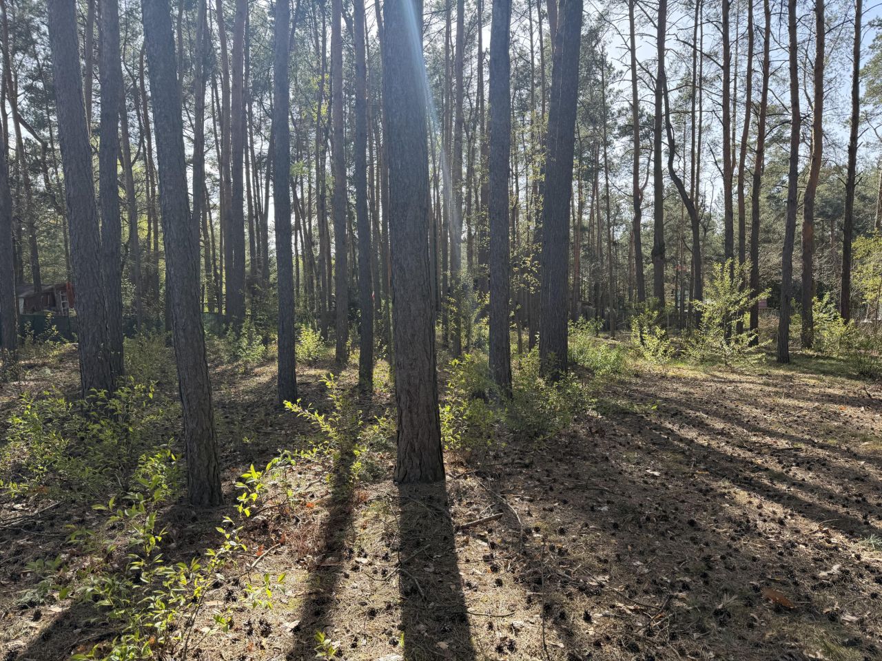 Działka budowlana Nowe Załubice, ul. Wiolinowa. Zdjęcie 9