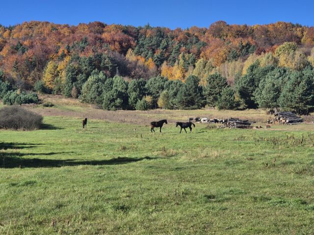 Działka rolno-budowlana Podlesice. Zdjęcie 1
