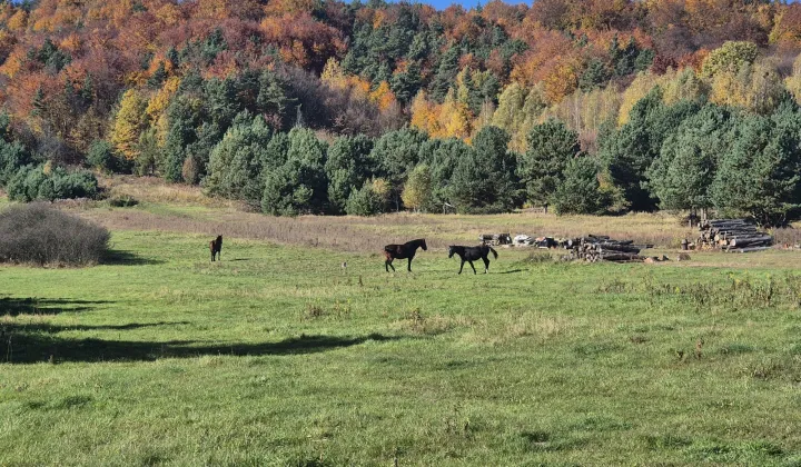 Działka rolno-budowlana Podlesice