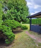 Działka rod Zielona Góra Ochla. Zdjęcie 1