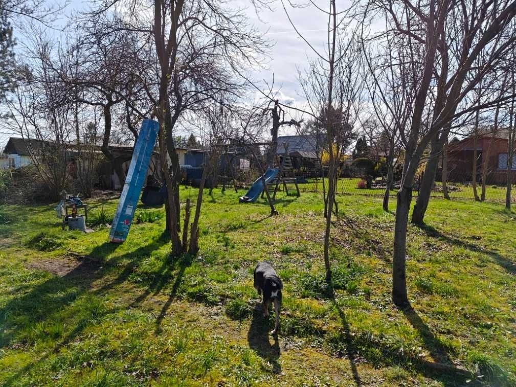 Działka rekreacyjna Mysłowice Brzezinka. Zdjęcie 1