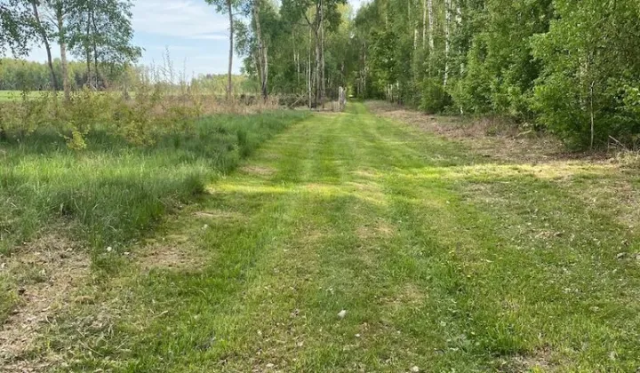 Działka rolna Orzechów-Kolonia
