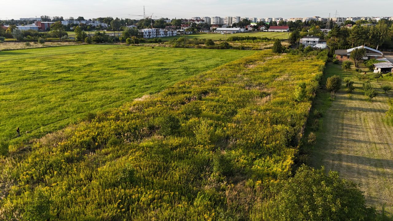 Działka rolna Opacz-Kolonia, ul. Zofii. Zdjęcie 10