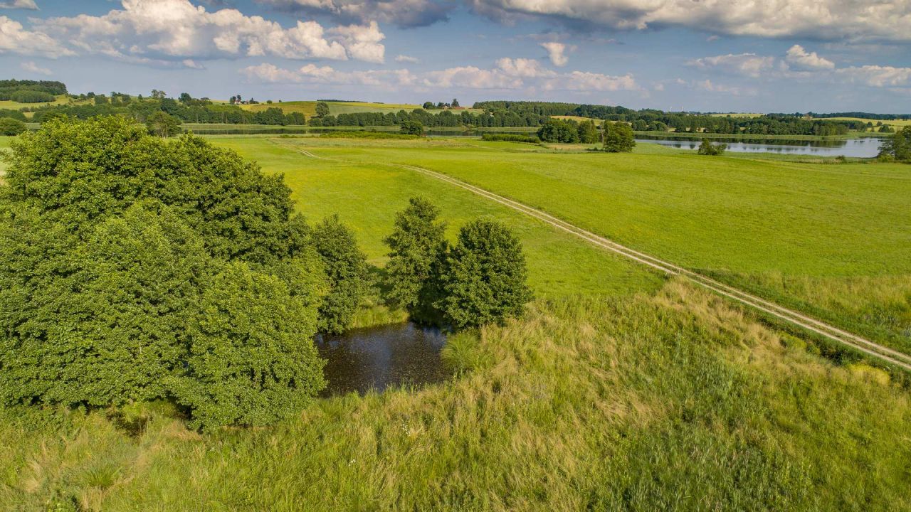 Działka rolno-budowlana Blanki. Zdjęcie 4