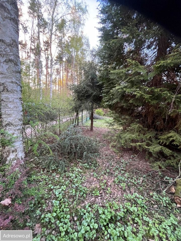 Działka rekreacyjna Rosanów, ul. Młynarska. Zdjęcie 11