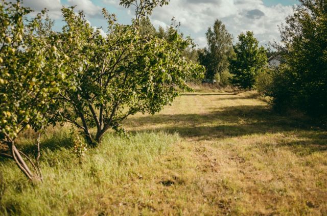 dom wolnostojący, 5 pokoi Osipy-Wydziory Pierwsze. Zdjęcie 13