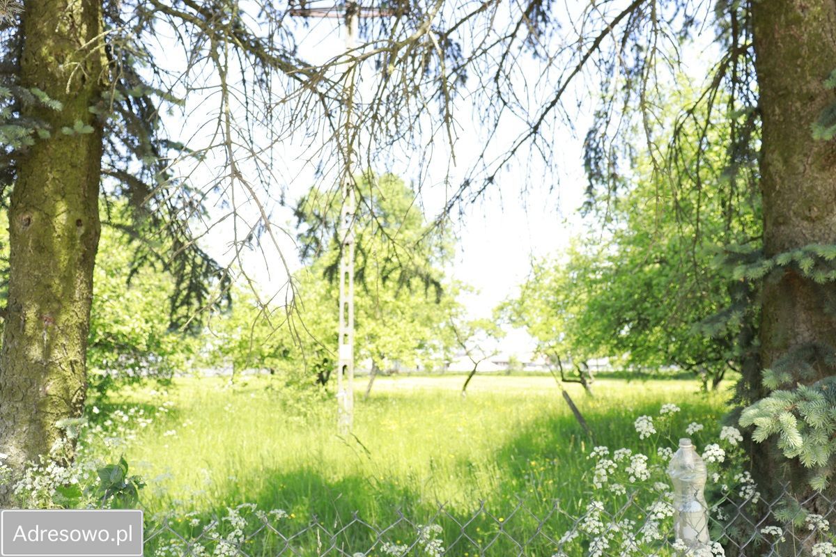 Działka budowlana Łempice. Zdjęcie 4