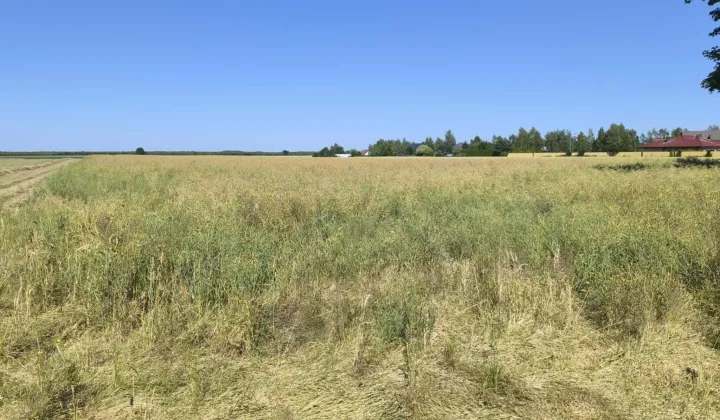 Działka budowlana Radzewice