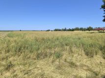 Działka budowlana Radzewice