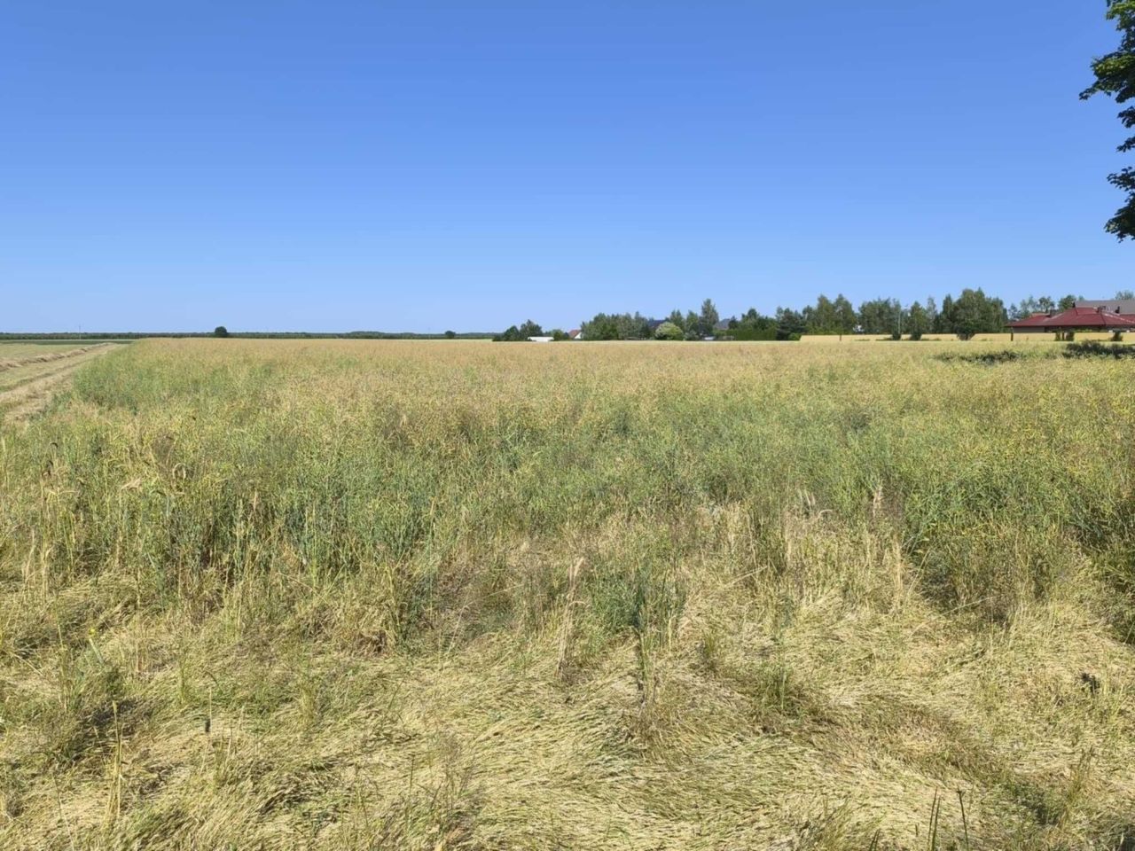 Działka budowlana Radzewice