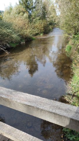 Działka rolna Brzuska. Zdjęcie 9