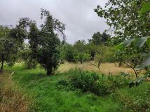 dom wolnostojący, 7 pokoi Komprachcice, ul. Klasztorna. Zdjęcie 2