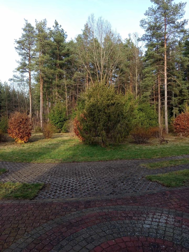 dom wolnostojący, 4 pokoje Płozy. Zdjęcie 7