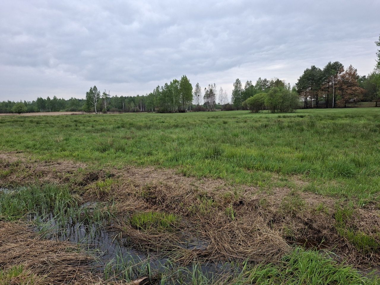 Działka rolna Ślęzaki. Zdjęcie 1