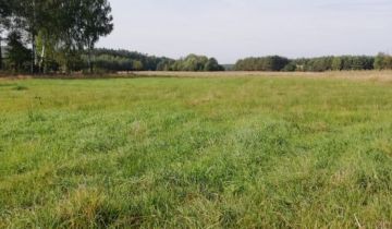 Działka rolna Dobry Las