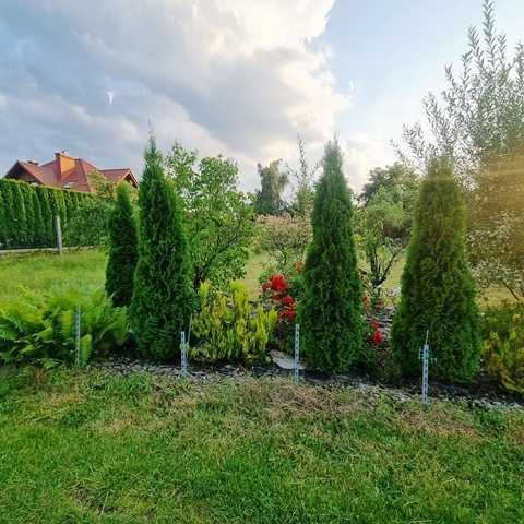 Działka rod Nowy Sącz, ul. 29 Listopada. Zdjęcie 1