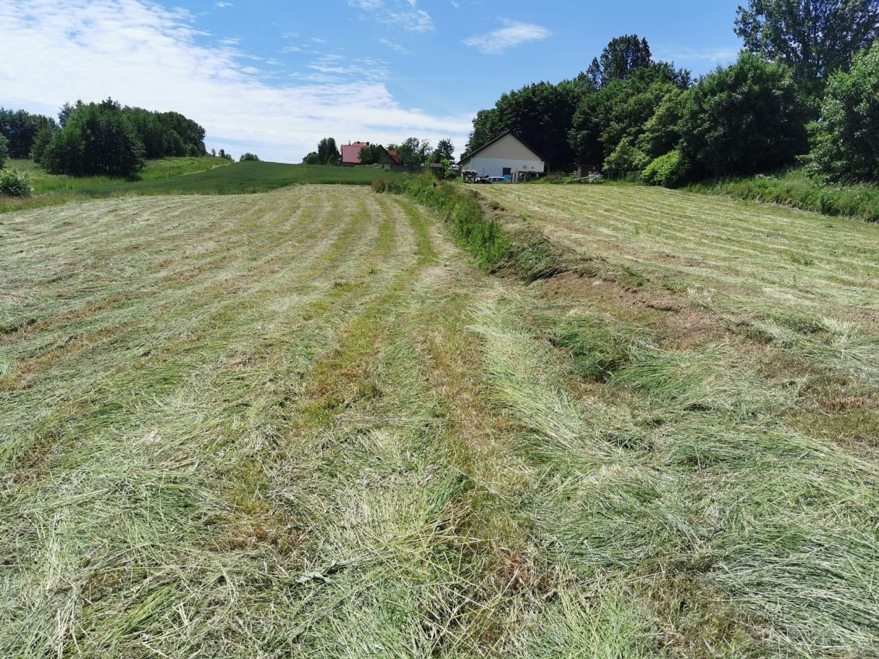 Działka budowlana Nowa Góra, ul. Trakt Olkuski. Zdjęcie 3