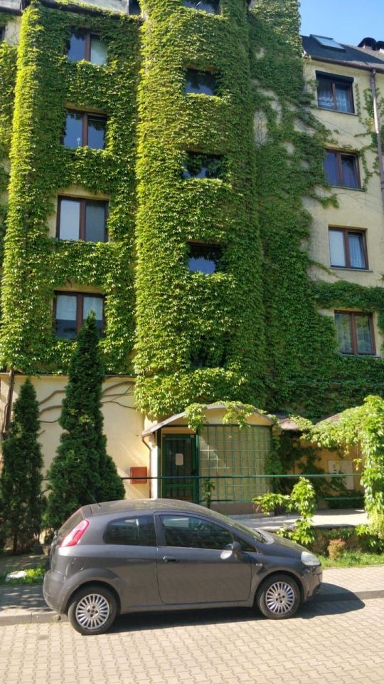 Mieszkanie 2-pokojowe Wrocław Śródmieście, ul. Ślężna. Zdjęcie 5