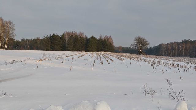 Działka rolno-budowlana Lipowiec. Zdjęcie 1