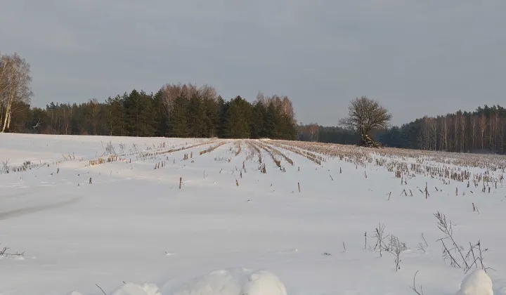 Działka rolno-budowlana Lipowiec