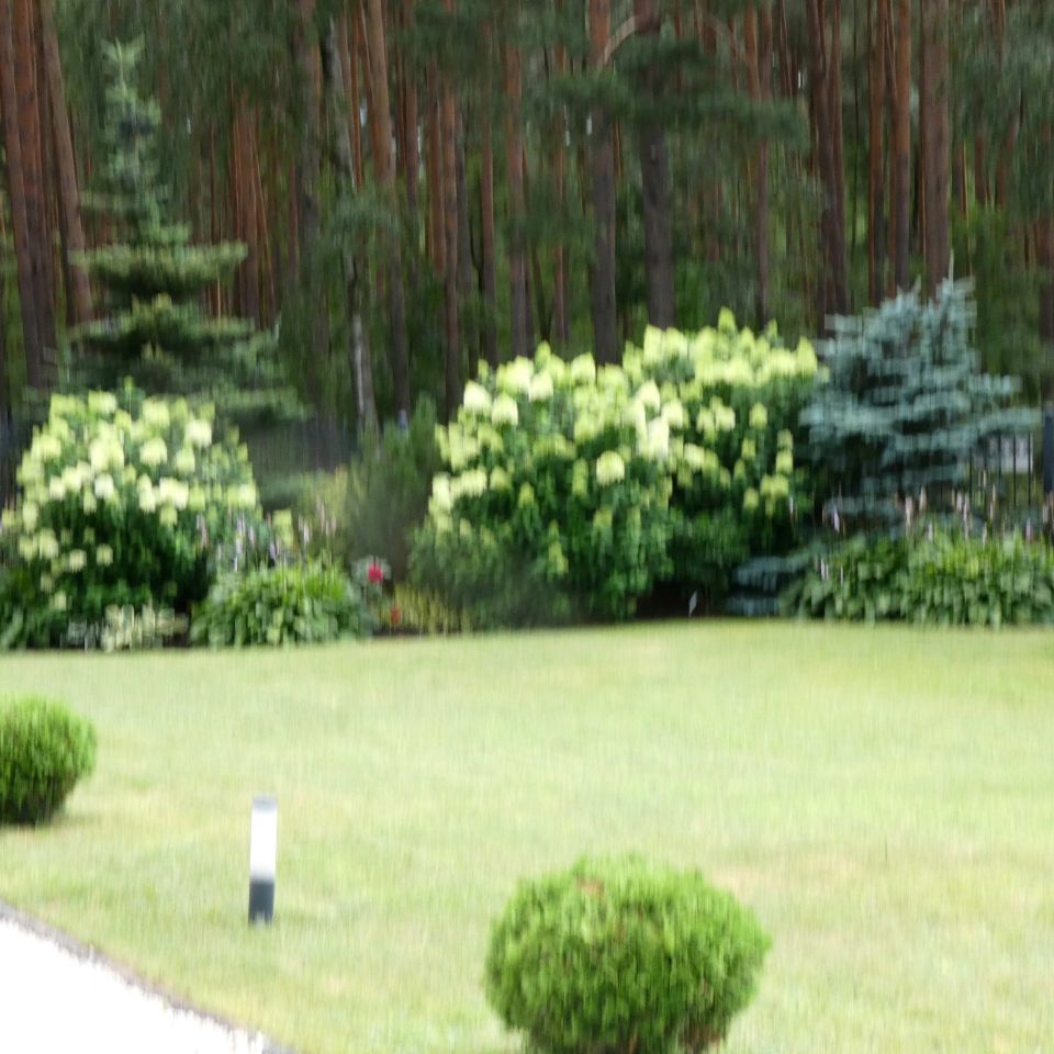 dworek, 4 pokoje Kowalewo, ul. Leśna. Zdjęcie 25