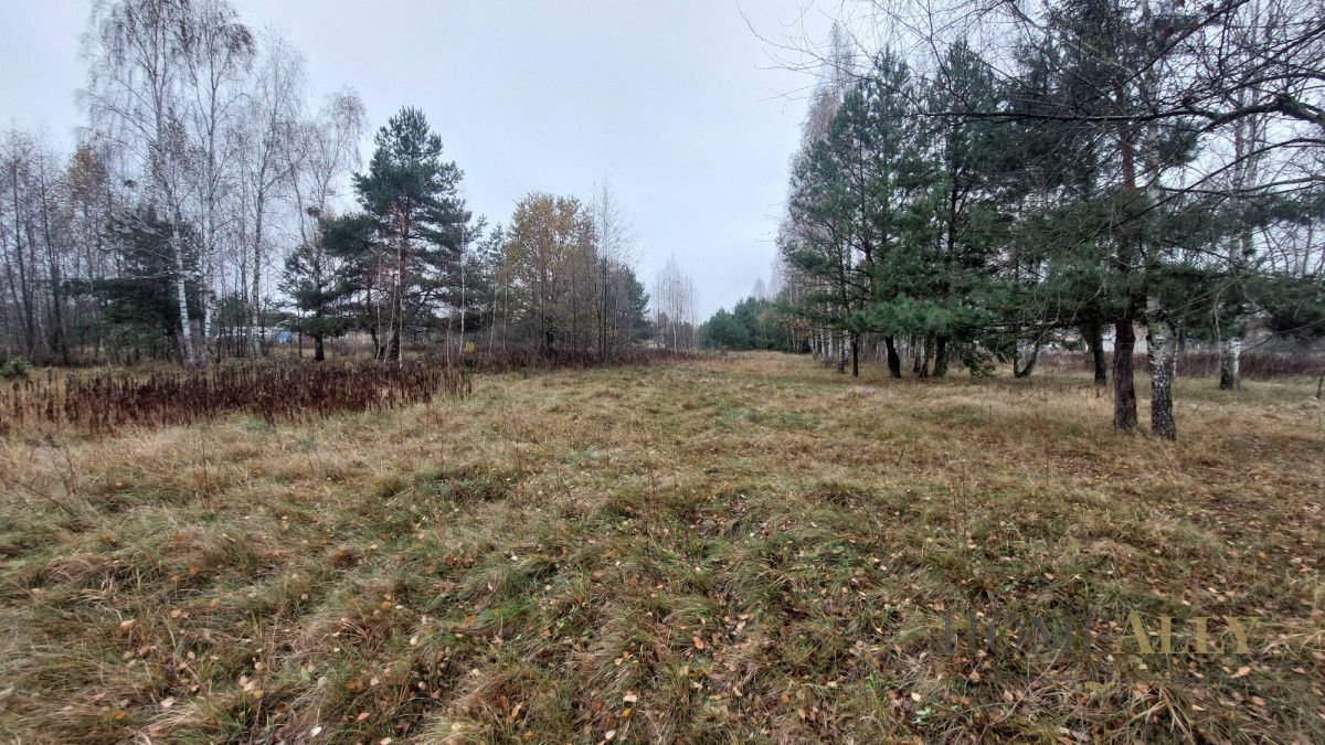 Działka rolna Teofile. Zdjęcie 2