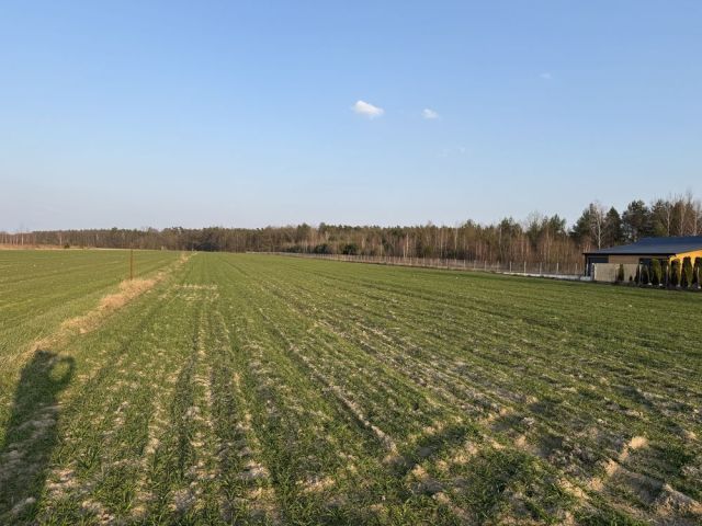 Działka budowlana Goławice Drugie. Zdjęcie 1