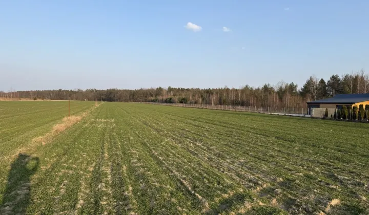 Działka budowlana Goławice Drugie