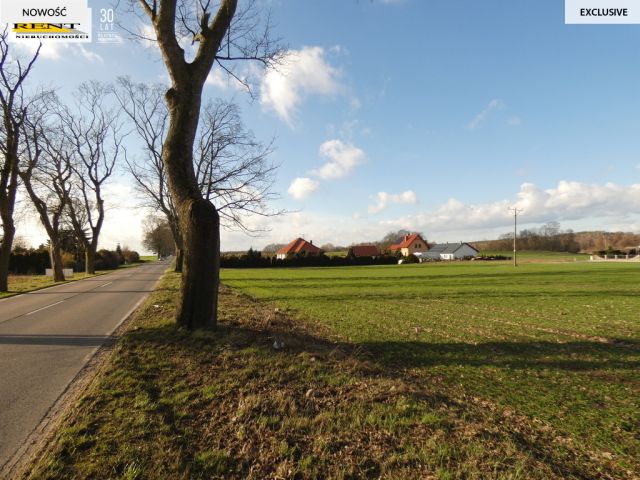 Działka budowlana Budno. Zdjęcie 1
