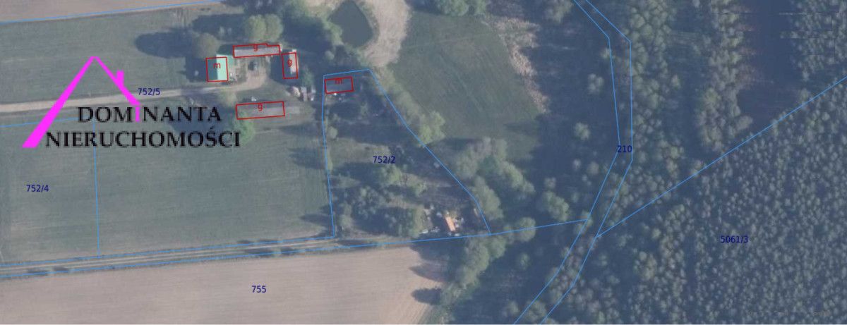 Działka rekreacyjna Śliwice Kocknieja, ul. Sosnowa. Zdjęcie 3