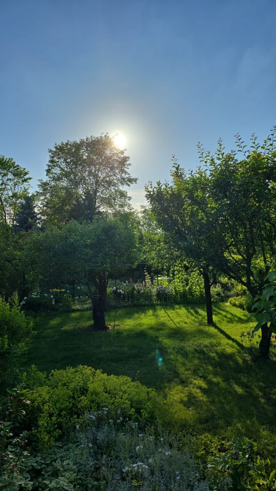 Działka rod Inowrocław Rąbin, Zapadle. Zdjęcie 4