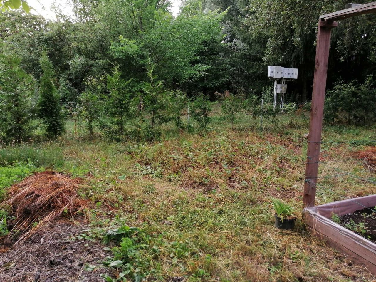 Działka rod Toruń. Zdjęcie 4
