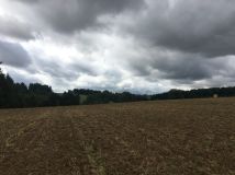 Działka siedliskowa Minoga. Zdjęcie 1