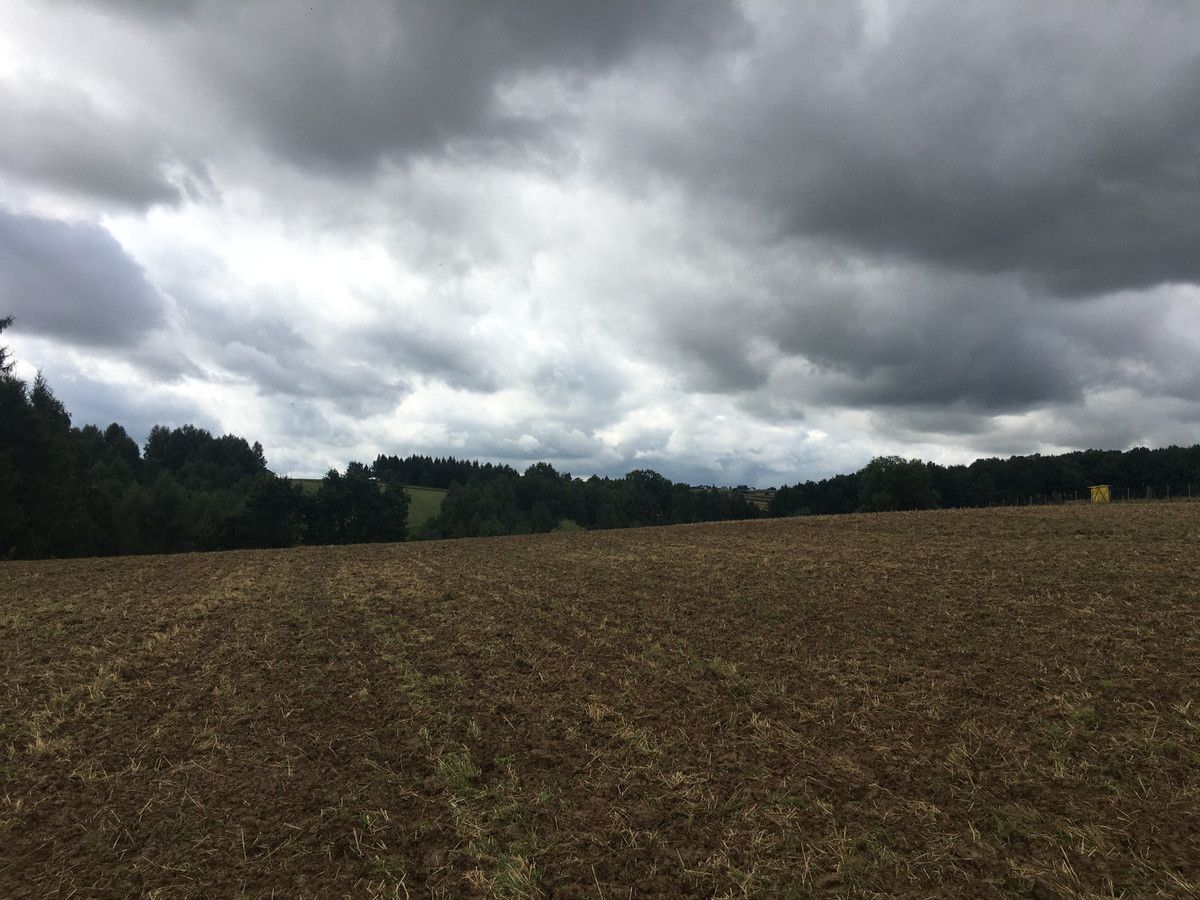 Działka siedliskowa Minoga. Zdjęcie 2