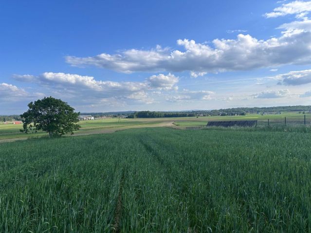 Działka budowlana Lisia Góra. Zdjęcie 1