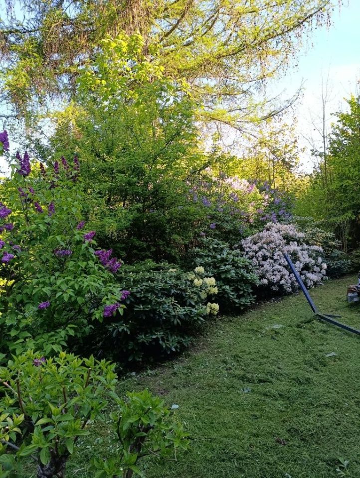 dom wolnostojący Wałbrzych Glinik. Zdjęcie 7