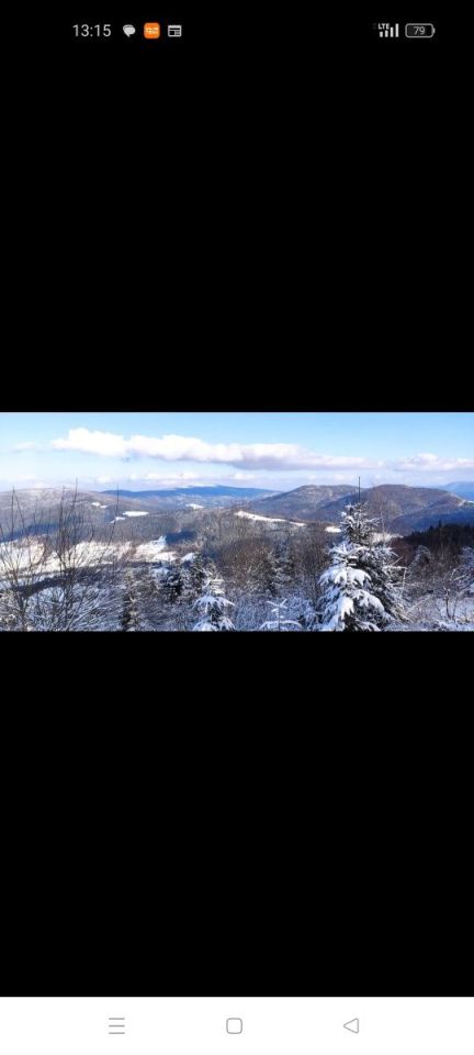 Działka rolna Lubomierz. Zdjęcie 7