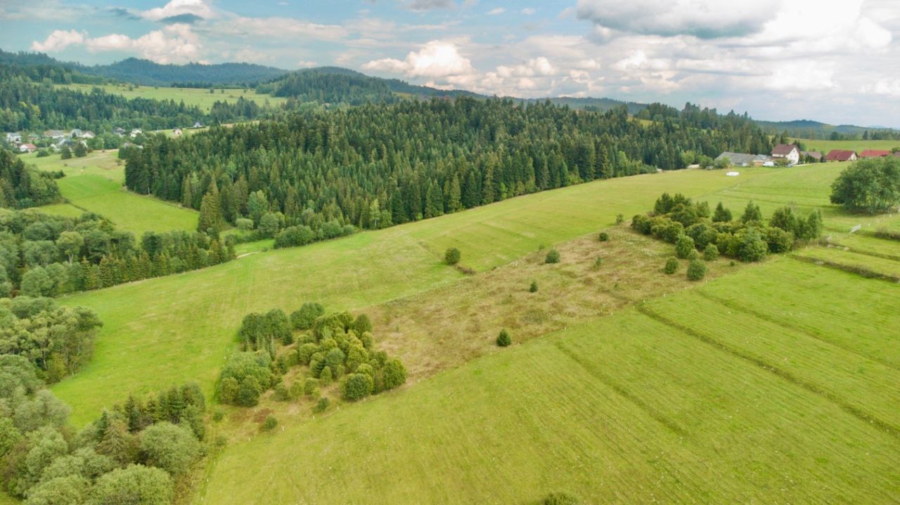 Działka rolna Jabłonka, ul. Jodłowa. Zdjęcie 3