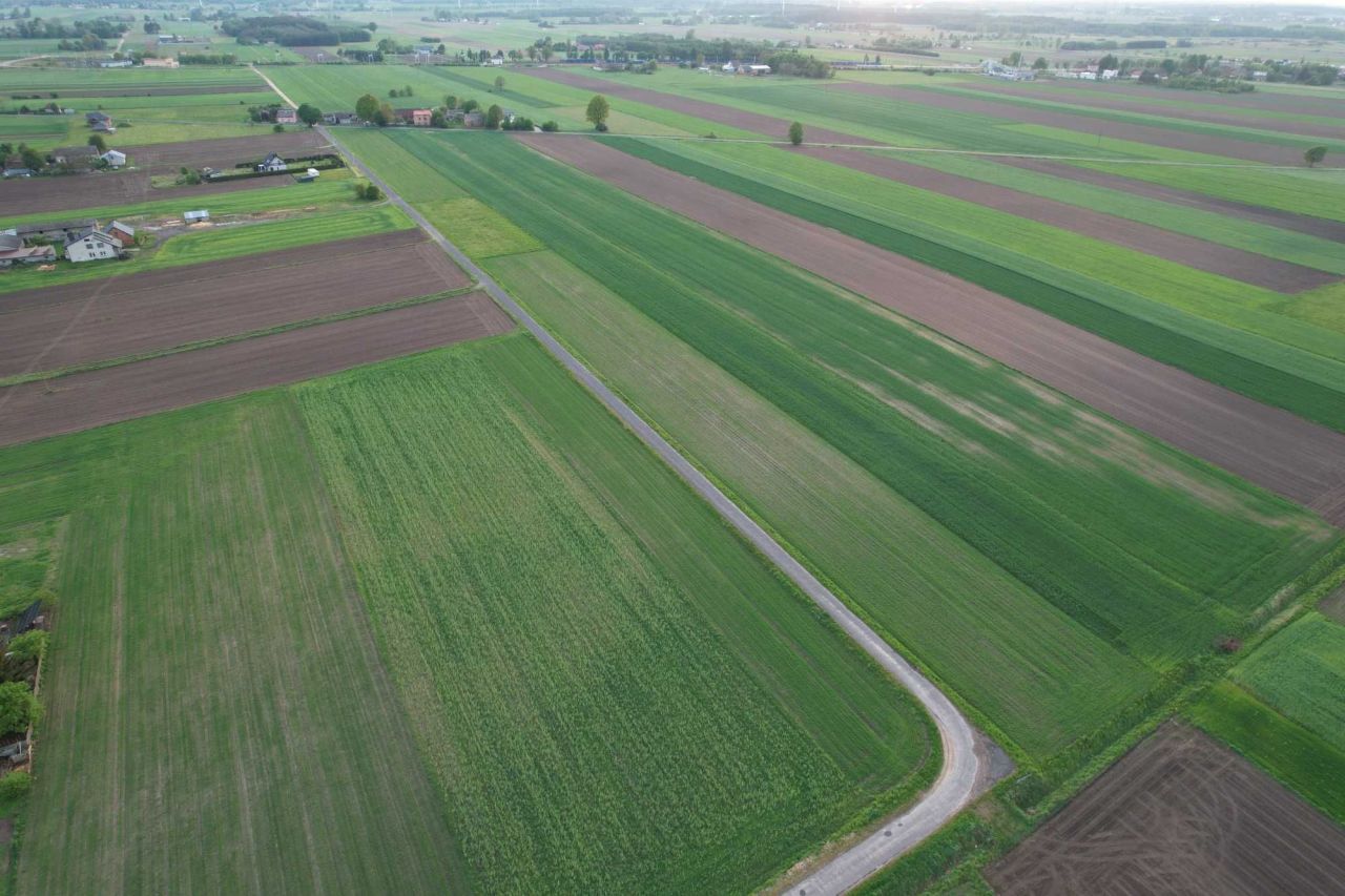 Działka rolno-budowlana Rusiec Rusiec-Kolonia. Zdjęcie 5