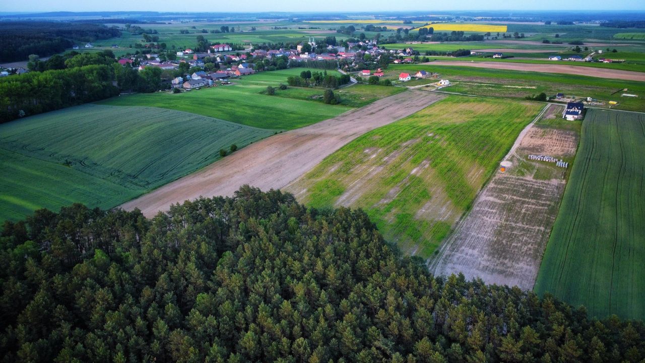 Działka budowlana Rokitno. Zdjęcie 5