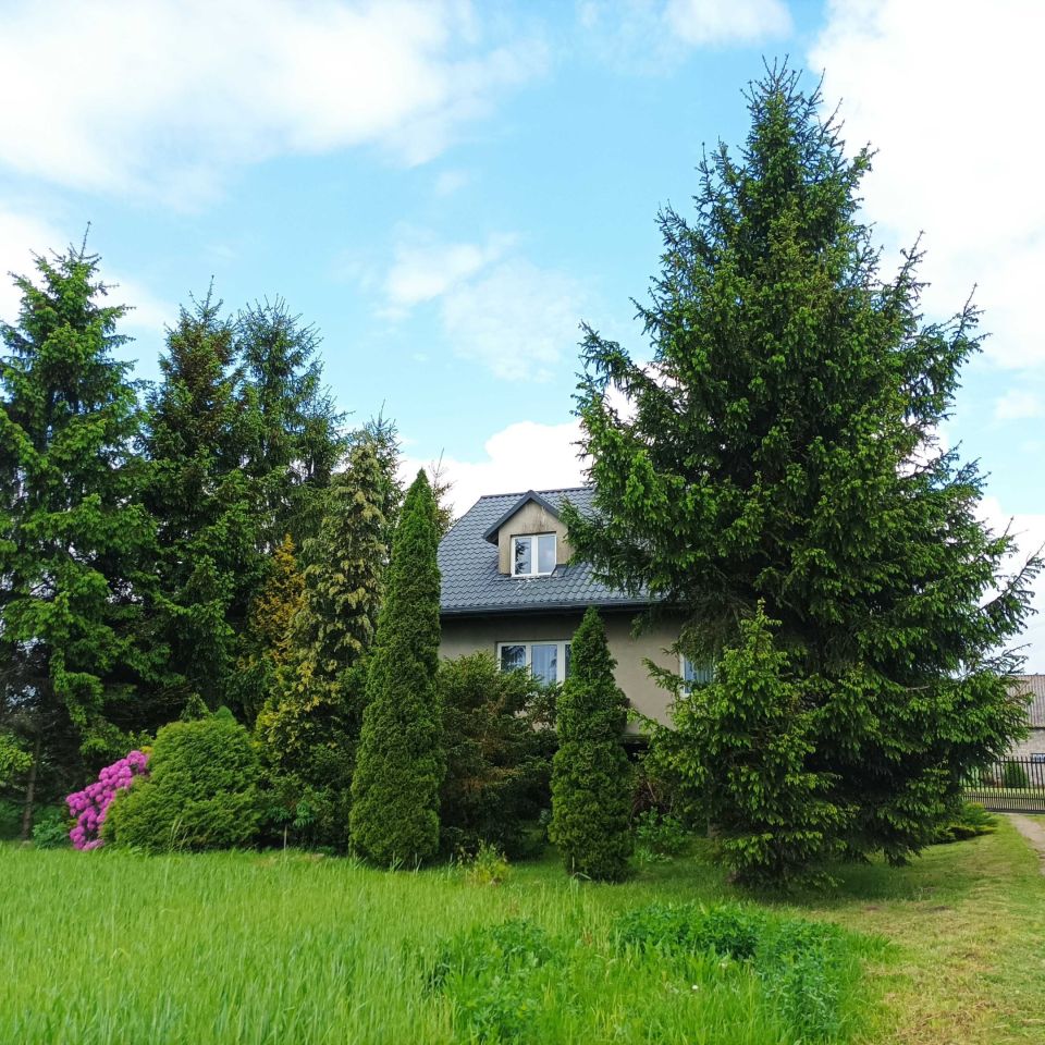 gospodarstwo Ładzyń. Zdjęcie 2