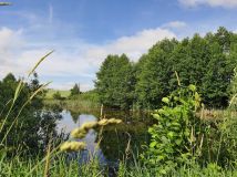 Działka budowlana Leleszki. Zdjęcie 2