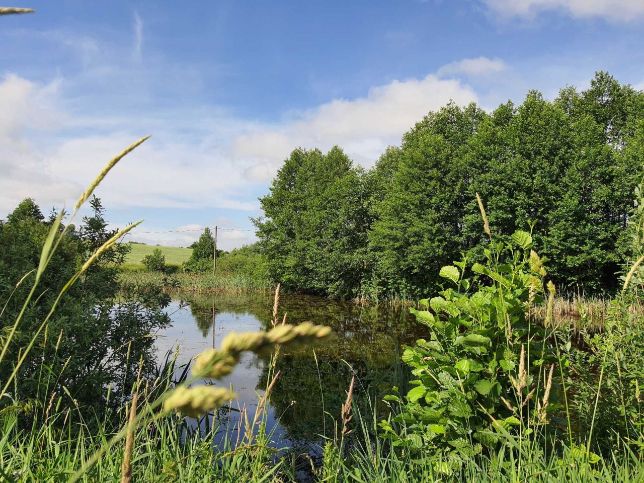 Działka budowlana Leleszki. Zdjęcie 3